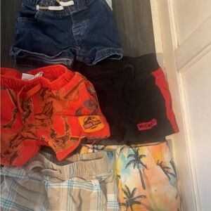 12 month shorts lot